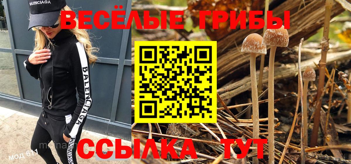 Галлюциногенные грибы Cubensis  Псилоцибиновые грибы прущие грибы  Коломна  Вход с VPN 