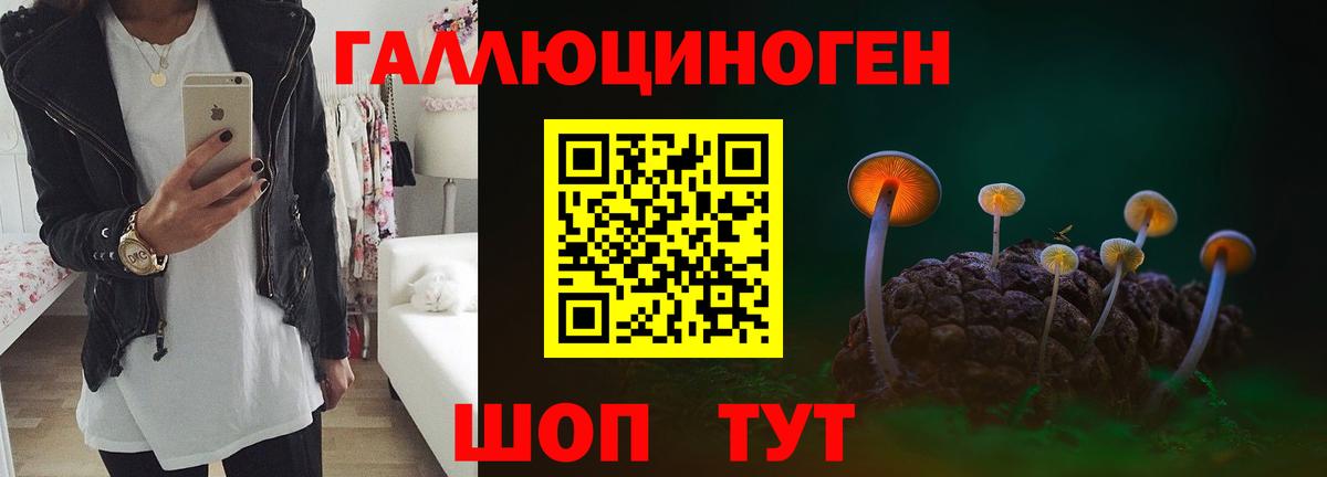 Псилоцибиновые грибы прущие грибы Коломна